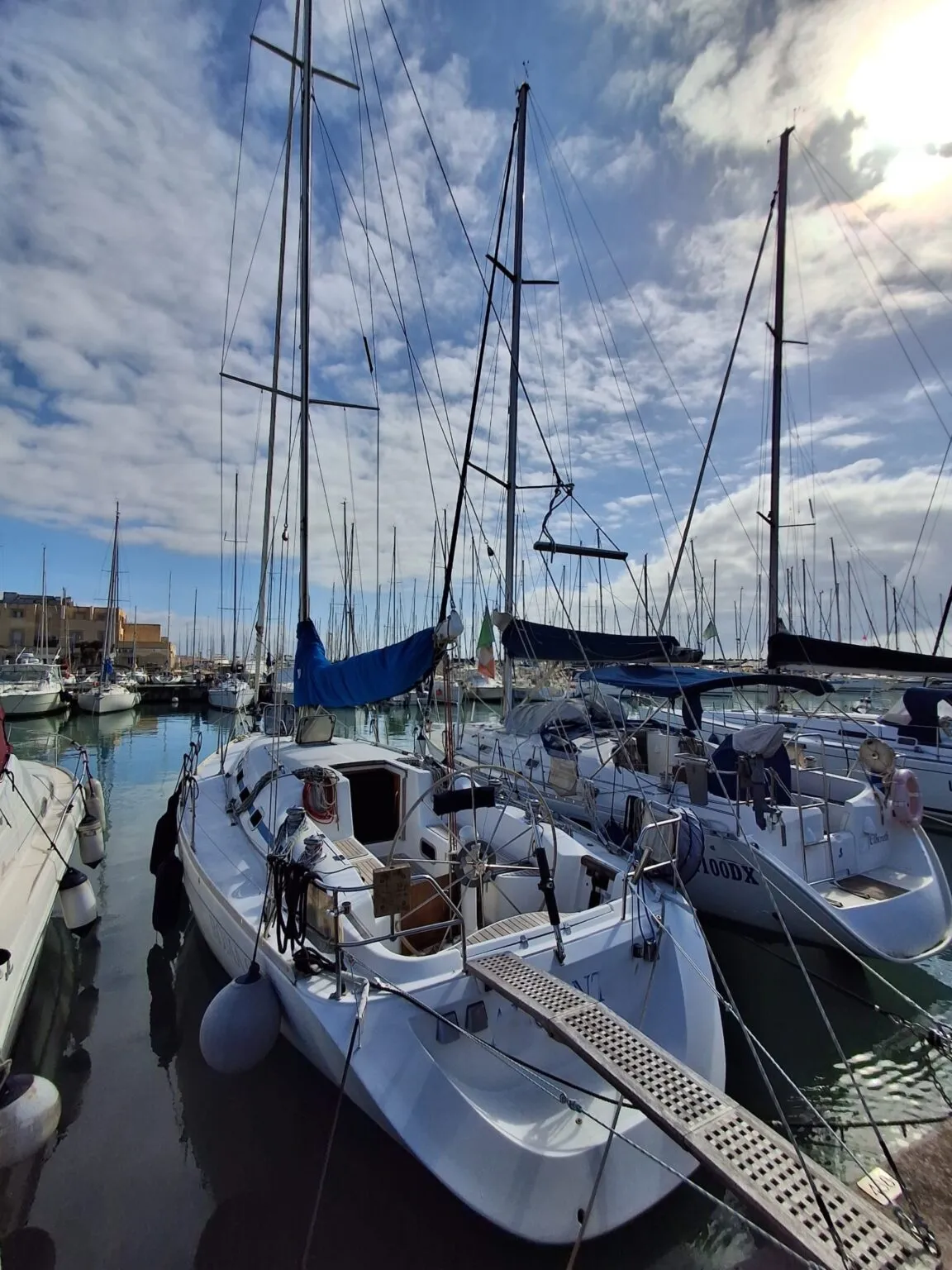 ARGO MARE DUCK 41